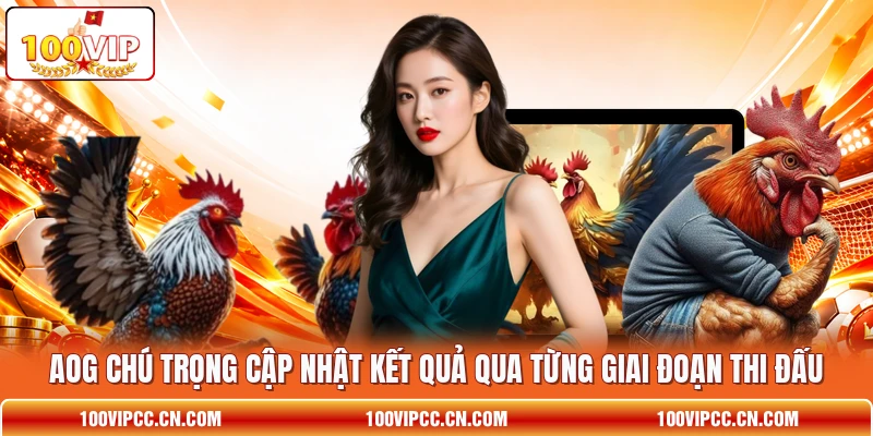 AOG chú trọng cập nhật kết quả qua từng giai đoạn thi đấu AOG chú trọng cập nhật kết quả qua từng giai đoạn thi đấu