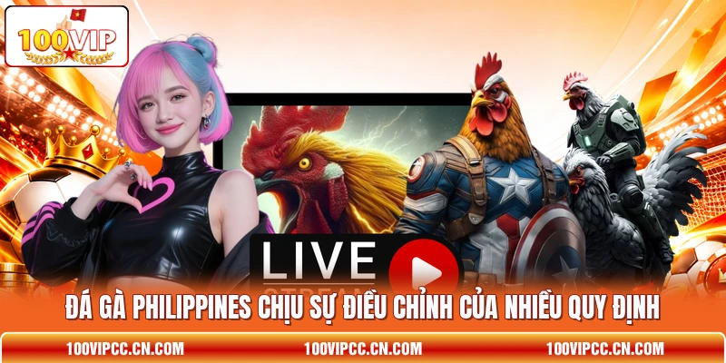 Đá gà Philippines chịu sự điều chỉnh của nhiều quy định Đá gà Philippines chịu sự điều chỉnh của nhiều quy định