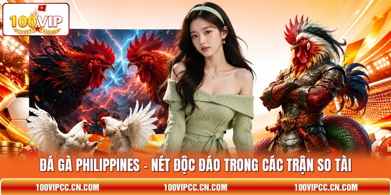 Đá Gà Philippines - Nét Độc Đáo Trong Các Trận So Tài