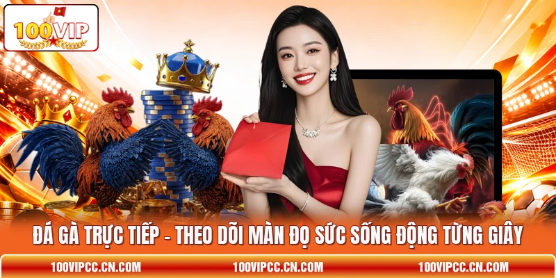 Đá Gà Trực Tiếp - Theo Dõi Màn Đọ Sức Sống Động Từng Giây