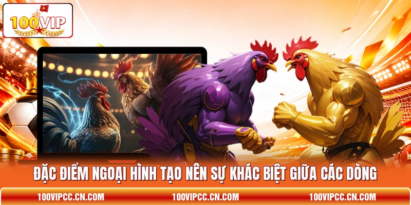 Đặc điểm ngoại hình tạo nên sự khác biệt giữa các dòng Đặc điểm ngoại hình tạo nên sự khác biệt giữa các dòng