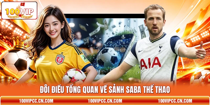 Đôi điều tổng quan về sảnh Saba thể thao Đôi điều tổng quan về sảnh Saba thể thao