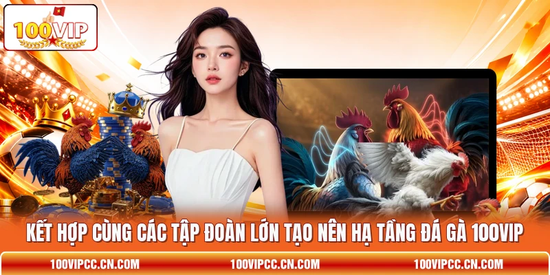 Kết hợp cùng các tập đoàn lớn tạo nên hạ tầng đá gà 100VIP