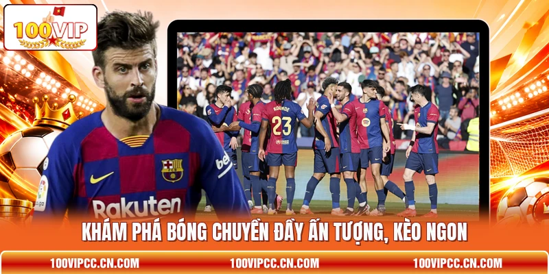 Khám phá bóng chuyền đầy ấn tượng, kèo ngon