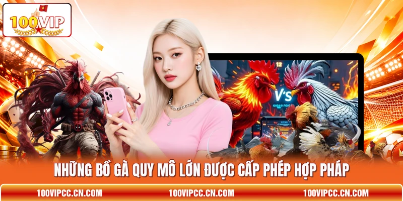 Những bồ gà quy mô lớn được cấp phép hợp pháp