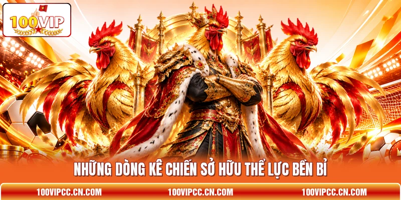 Những dòng kê chiến sở hữu thể lực bền bỉ