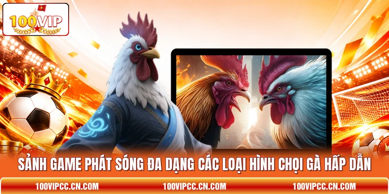 Sảnh game phát sóng đa dạng các loại hình chọi gà hấp dẫn Sảnh game phát sóng đa dạng các loại hình chọi gà hấp dẫn