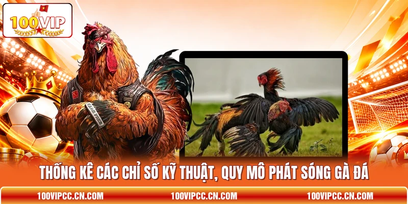 Thống kê các chỉ số kỹ thuật, quy mô phát sóng gà đá