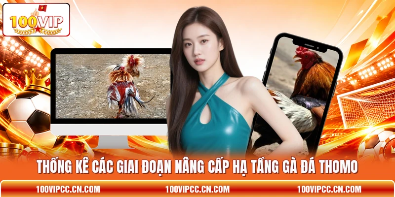 Thống kê các giai đoạn nâng cấp hạ tầng gà đá Thomo
