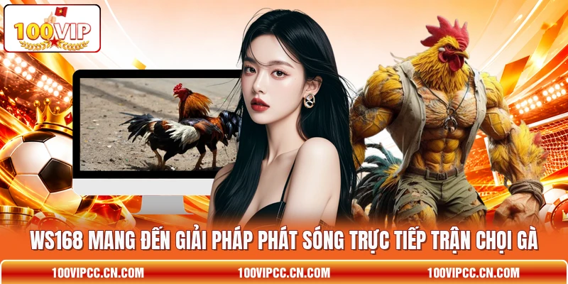 WS168 mang đến giải pháp phát sóng trực tiếp trận chọi gà WS168 mang đến giải pháp phát sóng trực tiếp trận chọi gà